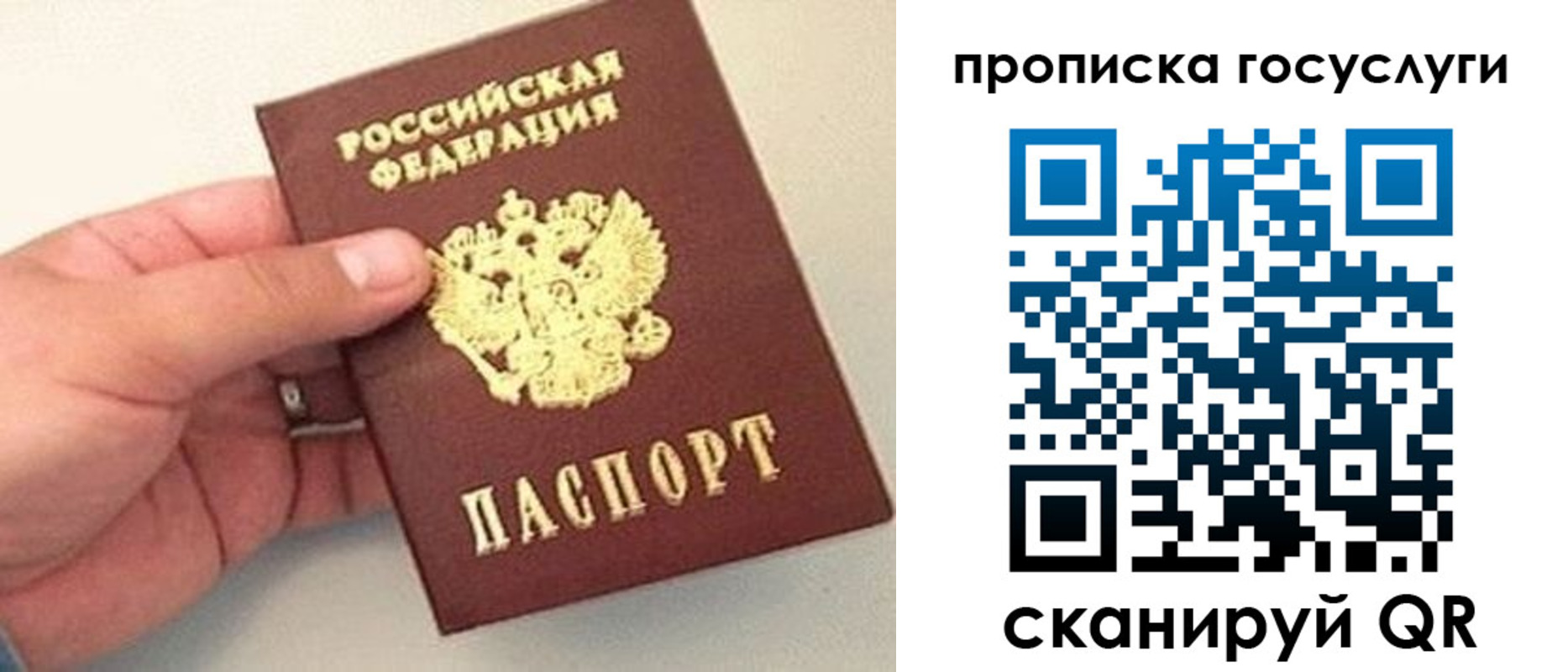 где прописаться в Брянске